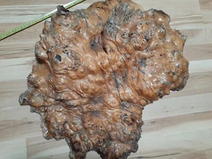 24 in.CURLY Birdseye Maple, AMAZING, EXQUISITE. wood SLAB, 16.5 LBS RARE - Picture 1 of 9