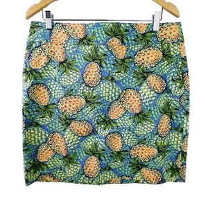 Talbots SZ 14P Novelty Pineapple Print Cotton Spandex Skirt Pockets - Picture 1 of 6