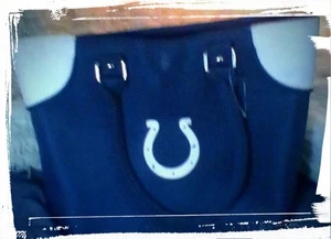 Indianapolis Colts NFL Football Carryall Tote Bag Embroidered Logo Brand New - Picture 1 of 5
