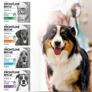 FRONTLNE Spot on Plus Floh- und Zeckenbehandlung für Katzen - 6 Pipetten - Bild 1 von 27