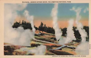 Vintage Yellowstone Nationalpark Leinen Postkarte Norris Geysirbecken #2 - Bild 1 von 2