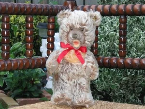Steiff Standing Zotty Bear 26 CM / 10 Inch - Picture 1 of 3