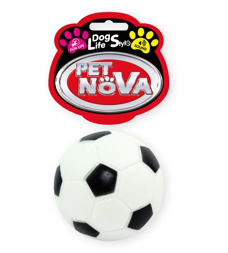 EXPAWLORER Quietschende Tennisbälle Für Hunde – 6er Pack, Bunt, Robustes Spielzeug