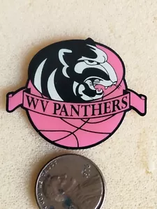 WV Panthers Basketball Pin - Bild 1 von 2
