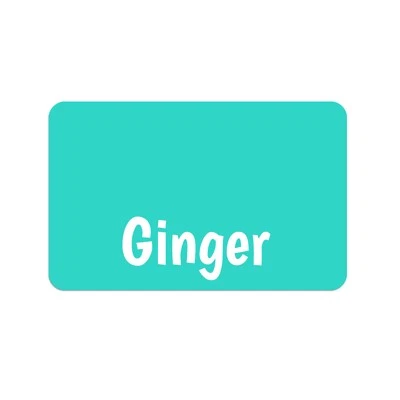 Personalized Dog Cat Food Mat Custom Pet Feeding Placemat with Name for Food - Image 1 of 4