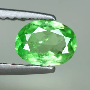 0.76 Cts_Unique Gemstone_100 % Natural Unheated Tsavorite Green Garnet_Kenya - Bild 1 von 3