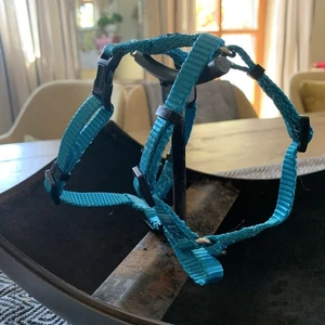 Kleines Brustgeschirr vom Dehner - NEU - Bild 1 von 3
