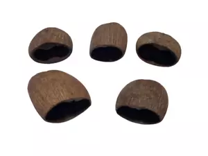 5 x Palm Pods ca. 5-8cm Natur Deko Aquarium Garnelen Zierfische Höhle Welse - Bild 1 von 3