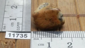 AGATE DENDRITE pierre roulée mineraux lithotherapie collection esoterisme reiki - Picture 1 of 1