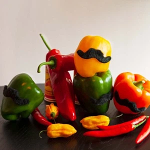 5 Mexikaner Schnurrbärte Bart schwarz Mexico Mexiko Fiesta Set Mottoparty neu - Bild 1 von 3