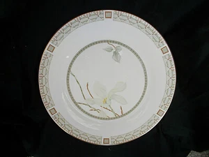 Royal Doulton WHITE NILE Dinner plate. Diameter 10 3/8 inches - Picture 1 of 3