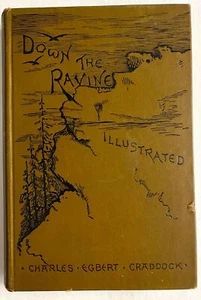 1892 DOWN THE RAVINE a Southern Appalachian novel by a Tennessee woman writer F - Picture 1 of 18