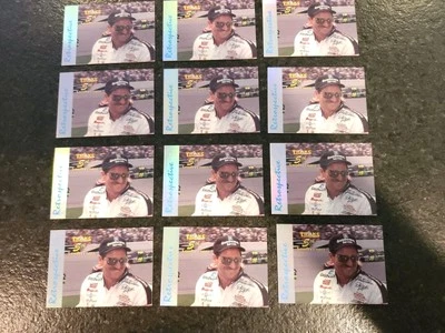 Lot of Dale Earnhardt Retrospective Card - Lot of 14 Nascar - 1995 Traks - Image 1 of 4