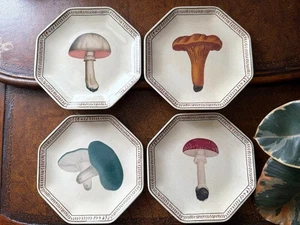 Almost unused JOHN DERIAN Plates, mushroom design 7 in (17.8 cm), Set of 4 - Picture 1 of 8