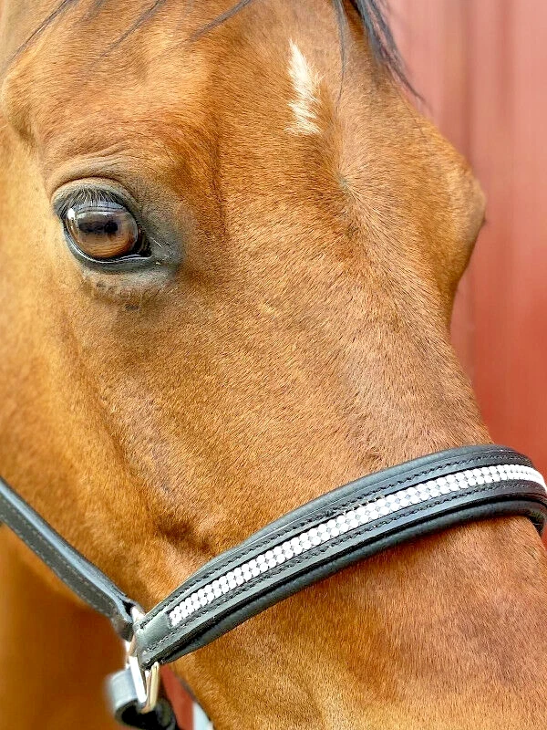 STRASS / LEDER-Halfter, Farbe schwarz hochwertiges Leder Strass silber, Gr WB - Bild 1 von 3