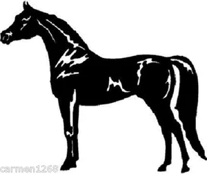 ARABIAN HORSE SHOW decal Horses sticker for car truck trailer window ARABIANS - Bild 1 von 2