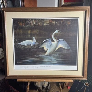 Litografía Art Long Of WI Edición Limitada ""Pájaros Encantados"" 18"" X 24,25"" 11/480 - Imagen 1 de 10