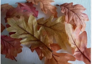 Herbstblätter 20 Eichenblätter Herbstfarben Laub div.. Größen 9x5,3 + 13,5cm neu - Bild 1 von 3