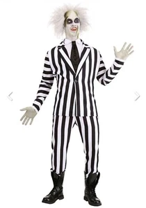Adult Beetlejuice Costume Size 6XL - Picture 1 of 1