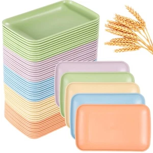 OMISTAR 50 Pcs Plastic Microwave Safe Plates, 9.3 x 5.8 inch Rectangular Dess... - Picture 1 of 5