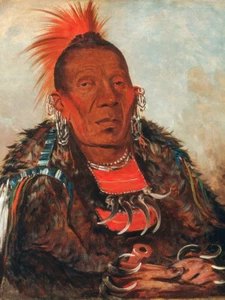 Wah ro nee sah, El Surrounder, Jefe de la Tribu por George Catlin + Envío Gratuito - Imagen 1 de 4