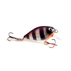 Jackall Chubby HANDMADE Crank Bait Minnow Köder Döbel Asp Forelle SMITH CAMION #2 - Bild 1 von 2