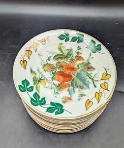 Set/11 Antique Haviland Limoges Hand Painted 6.5" Fruit Plate Strawberry Fig Nut - Picture 1 of 10