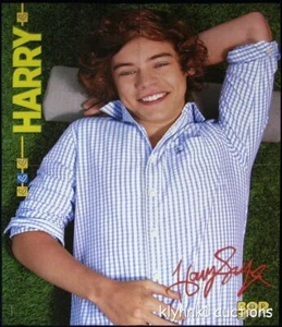 PÓSTER Harry Styles One Direction pliegue central 2621A Liam Payne en la parte posterior - Imagen 1 de 2