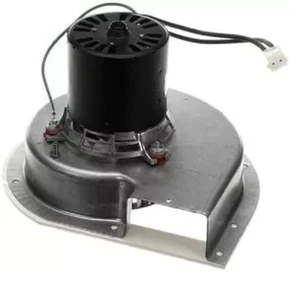 Conjunto de ventilador York S1-37310337702 115 V 3000 RPM - Imagen 1 de 1