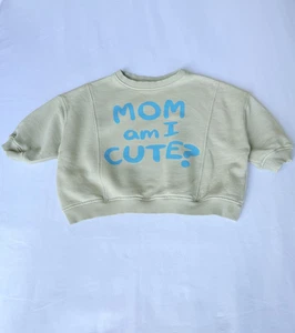 ZARA Girls Oversized Crewneck Pullover Sweatshirt Sage Sz 9-12 Months Am I Cute - Picture 1 of 10