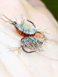 10 ninfas Gammarus pesca a mosca #12 - Imagen 1 de 1