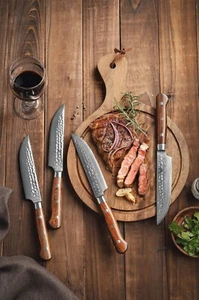 TBG9 Set Of 4, 67 Layer Japanese Damascus Stainless Steel Steak Knives - Picture 1 of 6