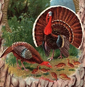 c.1911 Thanksgiving Greetings Turkeys w/ Chicks Postcard Tree Bark Fan Tail Baby - Picture 1 of 3