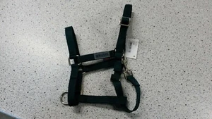 Busse Young Fohlenhalfter Halfter, Stallhalfter Nylonhalfter Mini Shetty d.grün - Bild 1 von 2