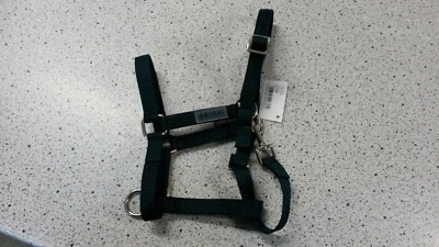 Busse Young Fohlenhalfter Halfter, Stallhalfter Nylonhalfter Mini Shetty d.grün - Bild 1 von 2