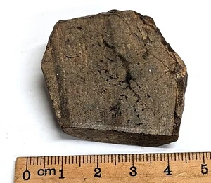 CUT 51 Gram Unclassified NWA METEORITE (#F6866) - Picture 1 of 1
