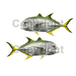 Jack Crevalle Sticker Decal Fish Boat RV Car Truck Trailer Fish 2 Pack die cut - Picture 1 of 1