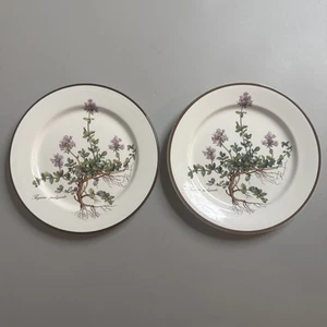 Lot 2 Villeroy Boch Botanica 8 1/4" Salad Plates Thymus Pulegioides w/ Roots - Picture 1 of 11