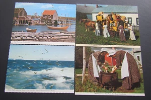 4 Vintage Nova Scotia 2 * Gulls 2 * Ross Farm Chrome Postcards Free shipping - Picture 1 of 6