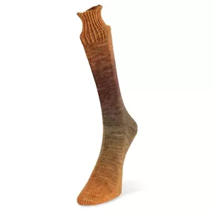 Laines Du Nord ::Watercolor Sock #103:: sock YARN Orange-Umber-Taupe - Picture 1 of 3