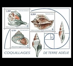 French Antarctic TAAF - "GEOMETRY IN NATURE ~ SEA SHELLS" MNH MS 2019 !