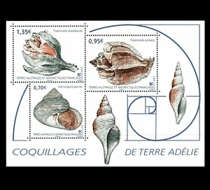 "Geometría en la naturaleza ~ cáscaras de mar"" antártica francesa sin montar o nunca montada ¡como nuevo 2019! - Imagen 1 de 3