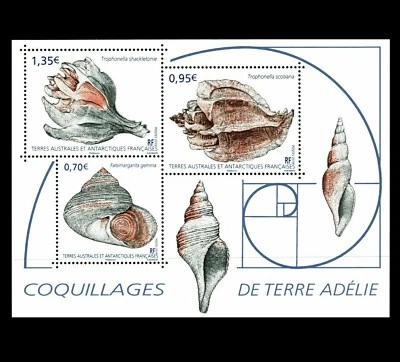 French Antarctic TAAF - "GEOMETRY IN NATURE ~ SEA SHELLS" MNH MS 2019 ! - Image 1 of 3