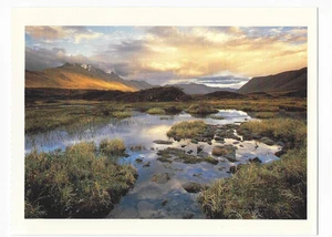 Sierra Club Alaska Postcard Collection Beaver Pond Brooks Range - Bild 1 von 2