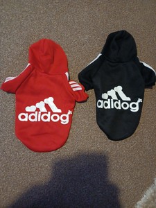adidog ebay