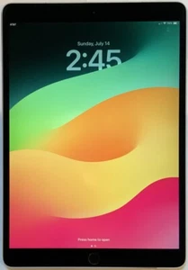 GSM UNLOCKED Wi-Fi + 4G APPLE iPad PRO 1st GEN 10.5" 256GB A1709 MPHG2LL/A - Afbeelding 1 van 7