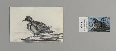 1983 Maryland Migratory Waterfowl Stamp and Pencil Drawing by Roger Lent - Image 1 of 4