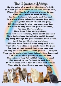Rainbow Bridge for Cats Keepsake Credit Purse Card & Mini Envelope Small Gift - Picture 1 of 3
