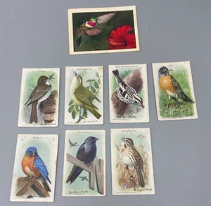 7 Arm and Hammer Useful Birds of America 9th Series + Kelloggs Hummingbird Card - Picture 1 of 6