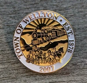 Town Of Wellton "Well Town" Arizona Established 1878 Gold-Tone Souvenir Pin 2007 - Picture 1 of 5